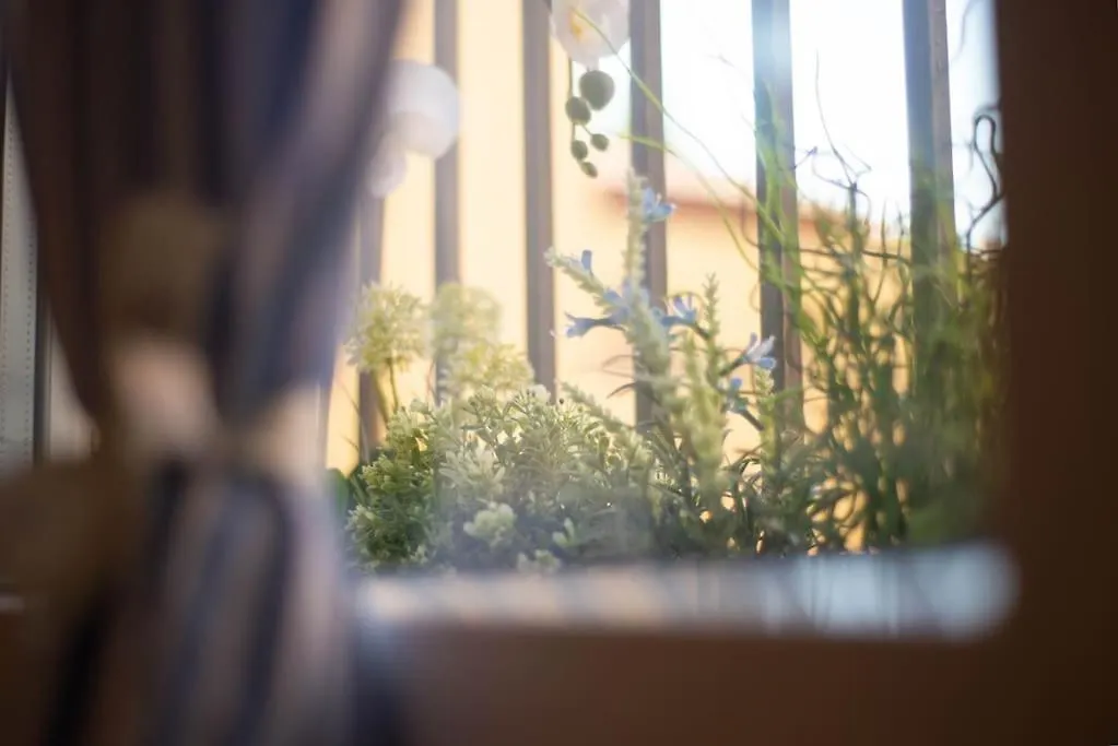 Dreaminbo - Centro Storico, Comfort E Relax Bolonya Daire